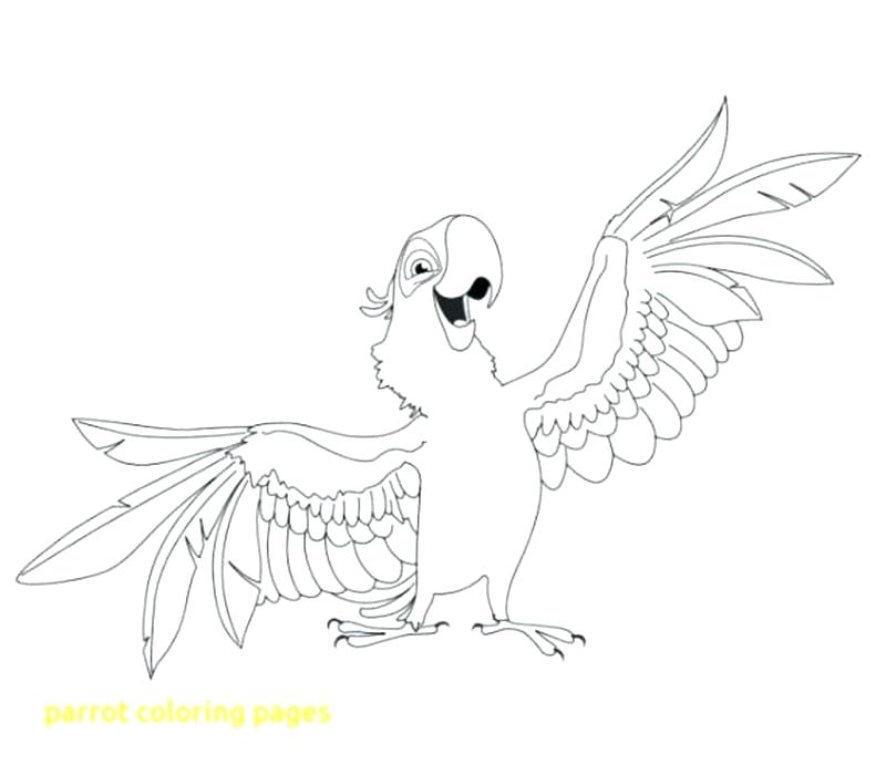800x700 Parrot Coloring Page Parrot Coloring Page With Parrot Coloring
