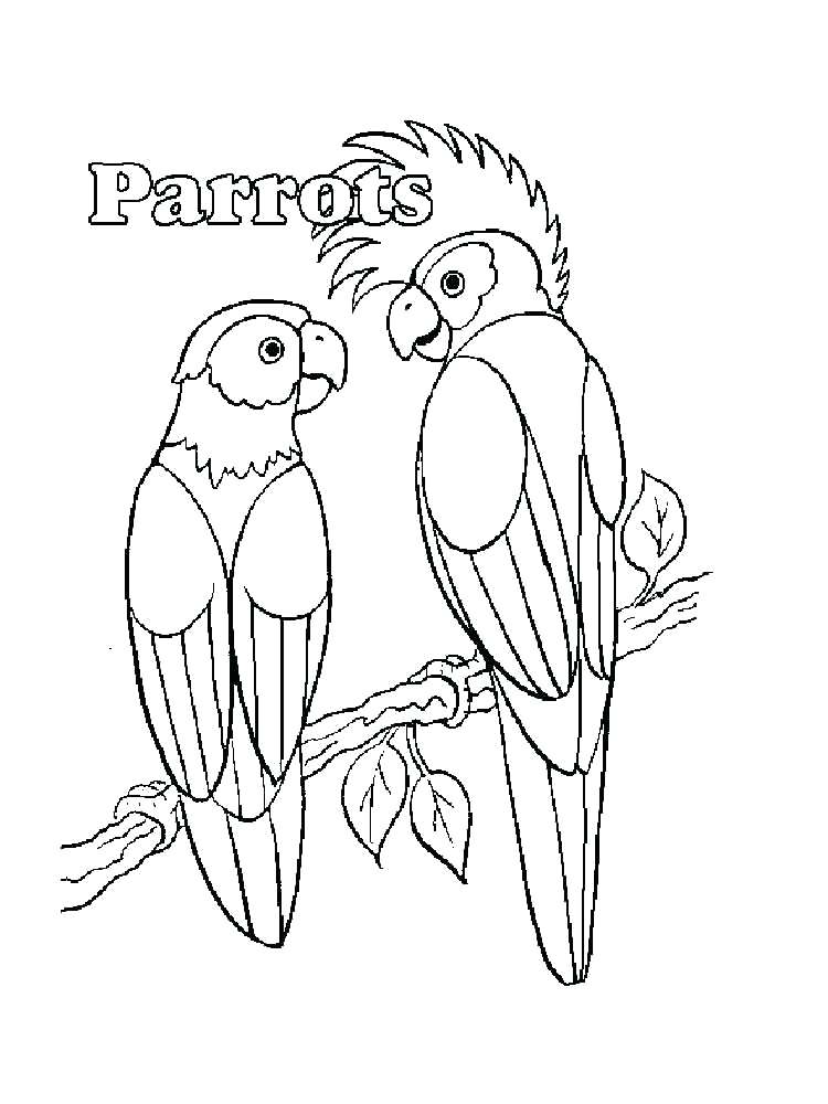 750x1000 Parrot Coloring Pages Coloring Pages Animals Parrot 8 Parrot