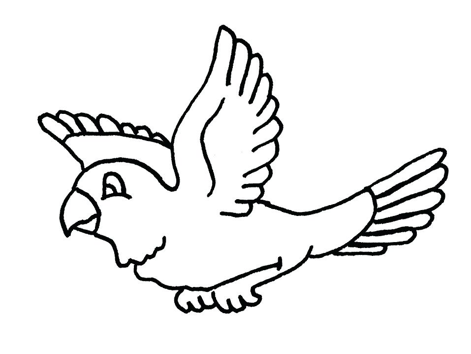 957x718 Parrot Coloring Pages Free Parrots Coloring Pages To Print