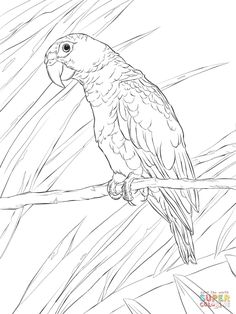 236x314 Pin By Deanna Lea On Color Animal Pages Group