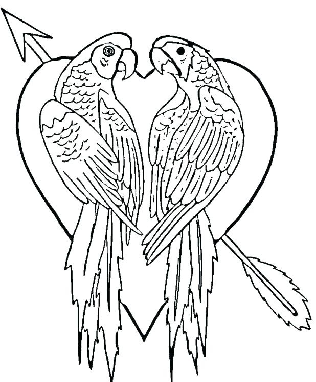 618x745 Coloring Pages Of Parrots Coloring Pages Of Parrots Parrot