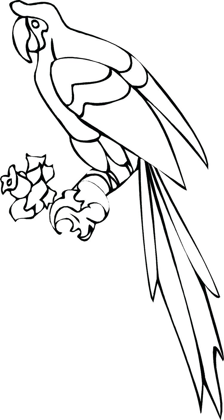 750x1404 Coloring Pages ~ Parrot Coloring Pages Page Printable Parrot