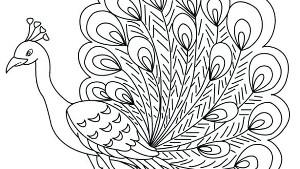 585x329 Peacock Coloring Pages Best Peacock Coloring Pages Images