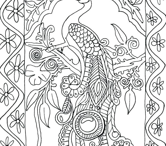 678x600 Peacock Coloring Pages Peacock Coloring Pages To Print Peacock