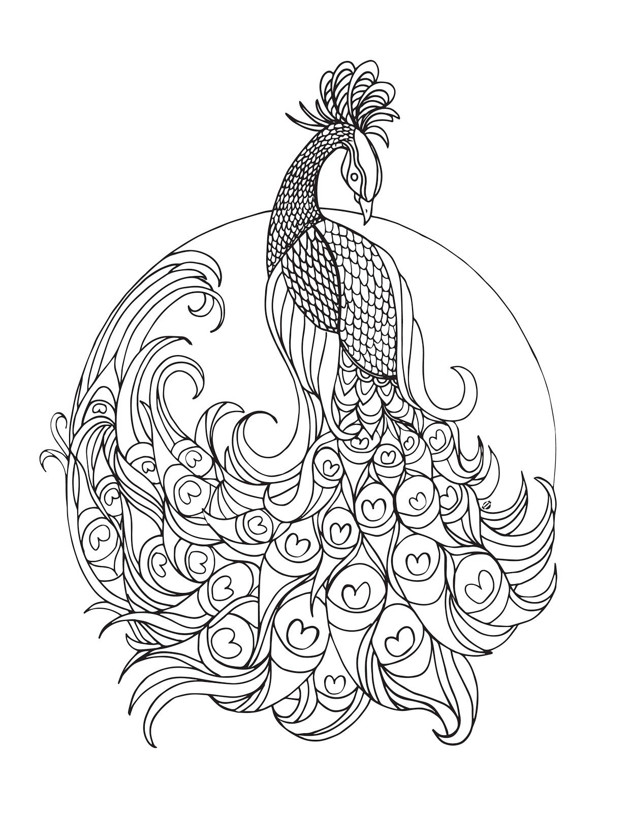 1236x1600 Peacock Colouring