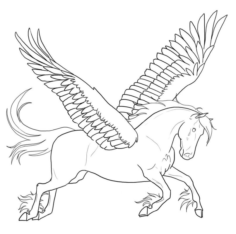 806x802 Pegasus Coloring Page Coloring Pages Kids