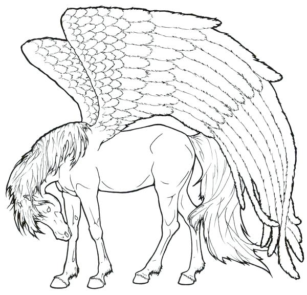 600x576 Pegasus Coloring Pages 2 Realistic Coloring Pages A Inspire Energy