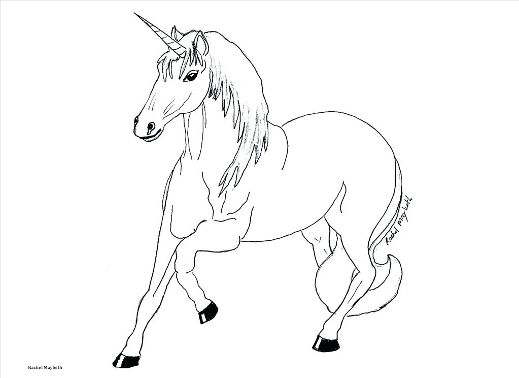 1023x744 Pegasus Coloring Pages Barbie And The Magic Coloring Page 5