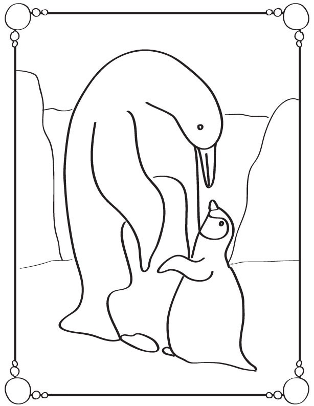 Penguin Pictures To Print For Free Penguin Pictures To Print Many 614x793 Penguin Pictures To Print For Free Penguin Pictures To Print Many