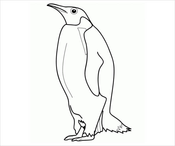 Penguin Coloring Pages 600x500 Penguin Coloring Pages