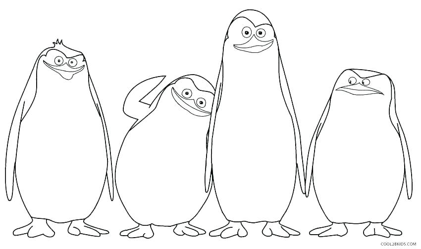 Coloring Pages Of Penguins 850x504 Coloring Pages Of Penguins