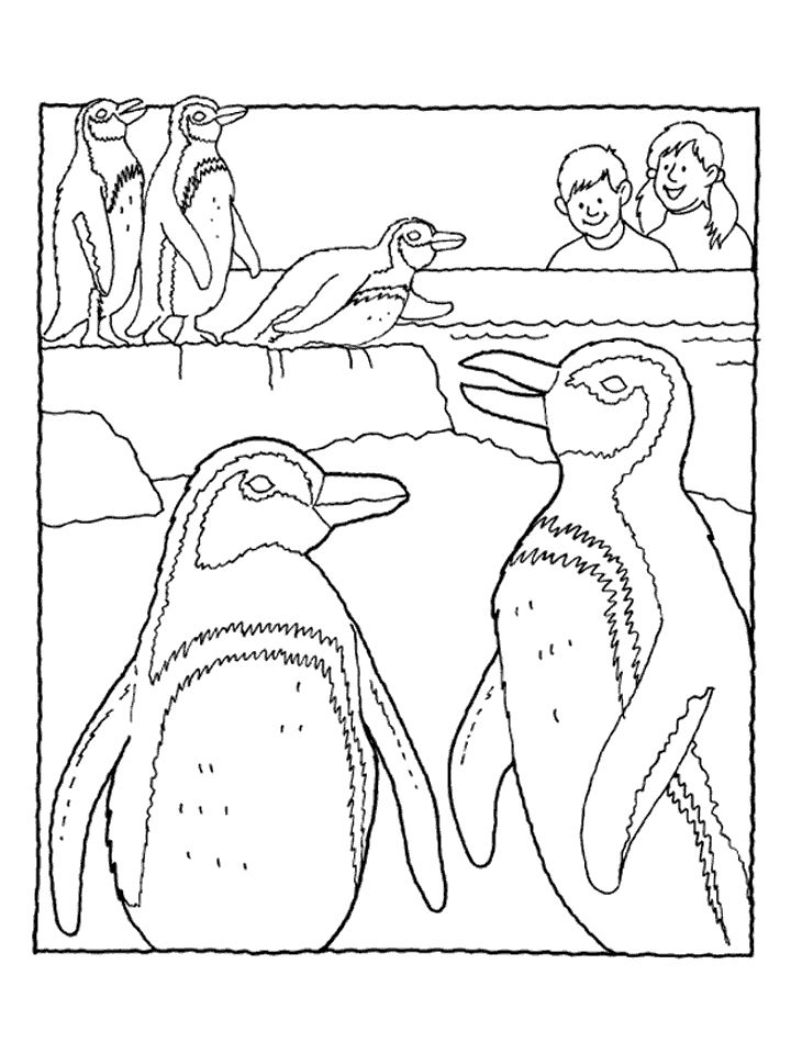 Zoo Worksheets Zoo Penguin Coloring Pages June Is National Zoo 720x960 Zoo Worksheets Zoo Penguin Coloring Pages June Is National Zoo