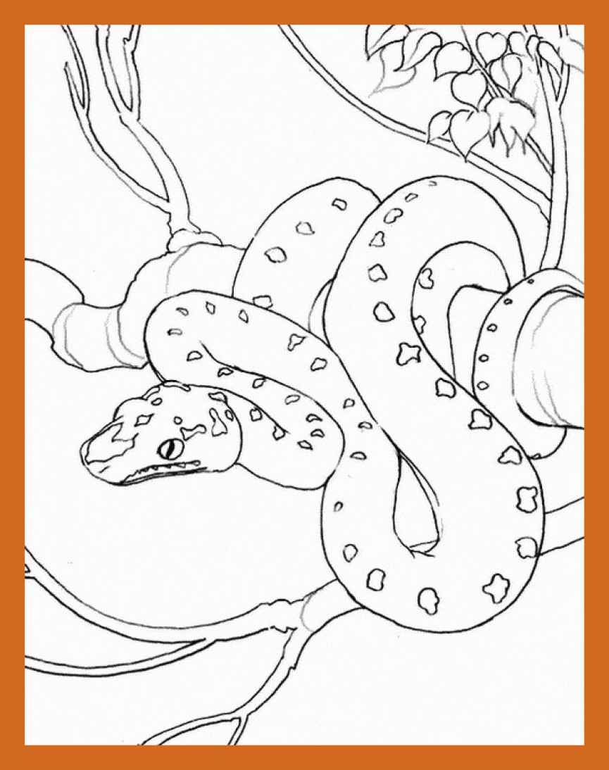 865x1094 Amazing Adult Printable Coloring Pages Pics For Realistic People