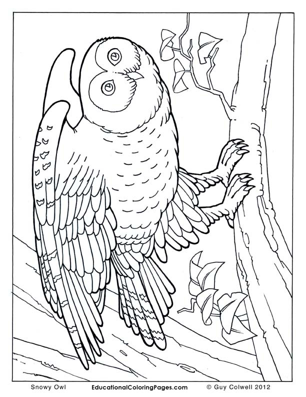612x792 Realistic People Coloring Pages For Kids Printable Coloring Pages