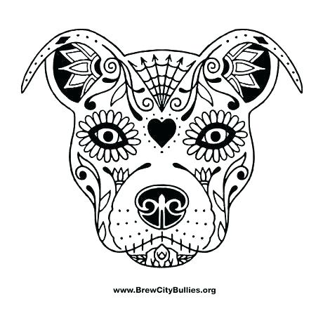 Pitbull Coloring Page Coloring Pages Coloring Pages Sugar Skull 460x460 Pitbull Coloring Page Coloring Pages Coloring Pages Sugar Skull