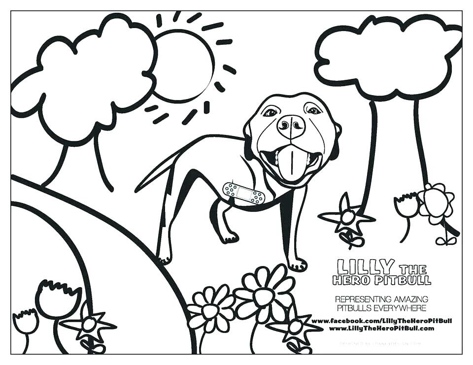 Pitbull Coloring Page Coloring Pages I My Coloring Pages I 960x741 Pitbull Coloring Page Coloring Pages I My Coloring Pages I