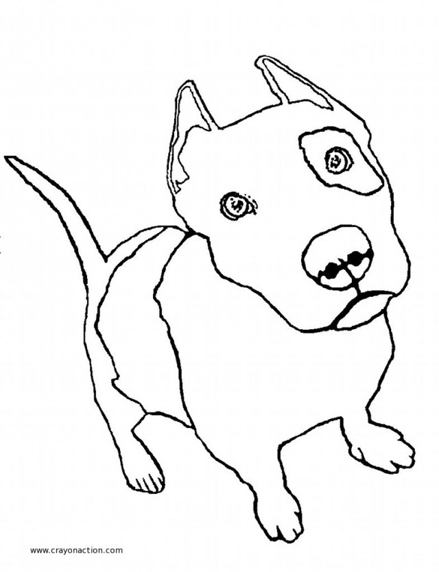 Pitbull Coloring Pages To Download And Print For Free 640x834 Pitbull Coloring Pages To Download And Print For Free