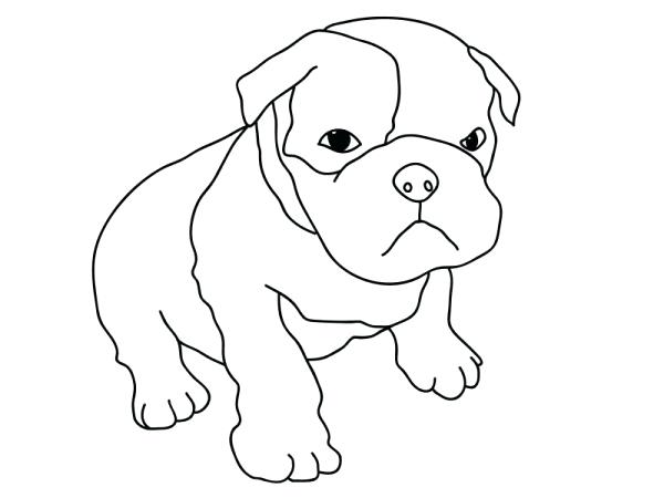 Pitbull Coloring Page Coloring Page Fine Picture Realistic Pitbull 600x450 Pitbull Coloring Page Coloring Page Fine Picture Realistic Pitbull