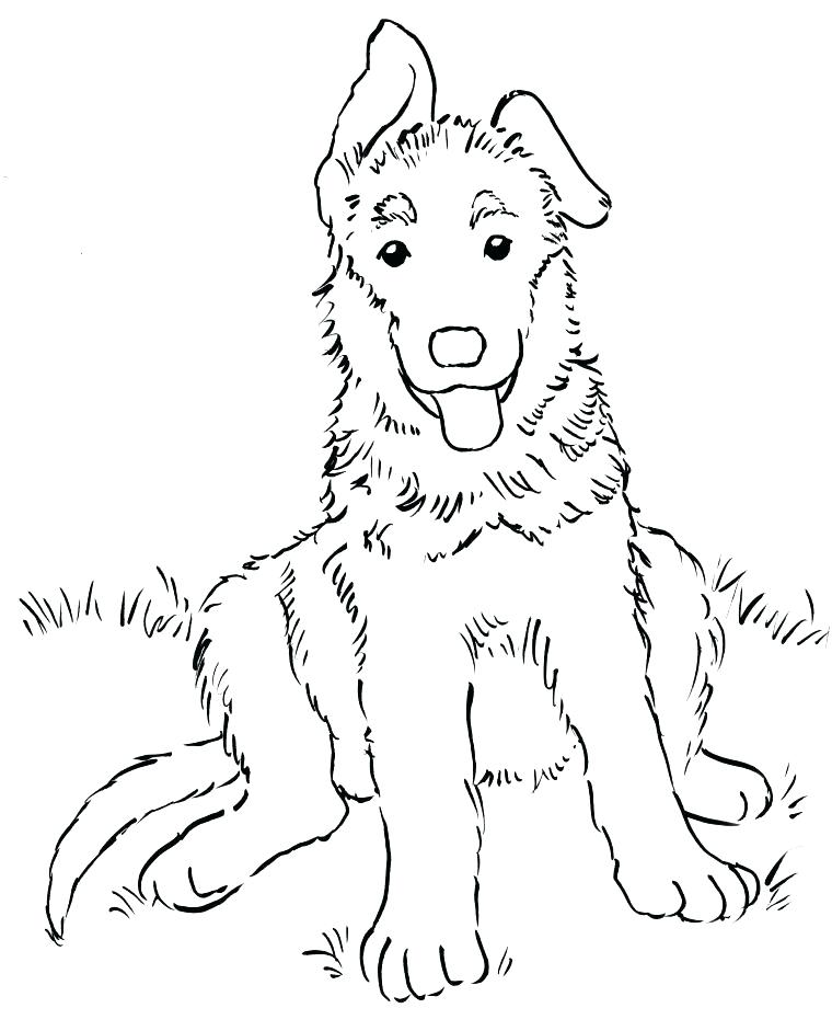 Realistic Puppy Coloring Pages at GetColorings.com | Free printable ...