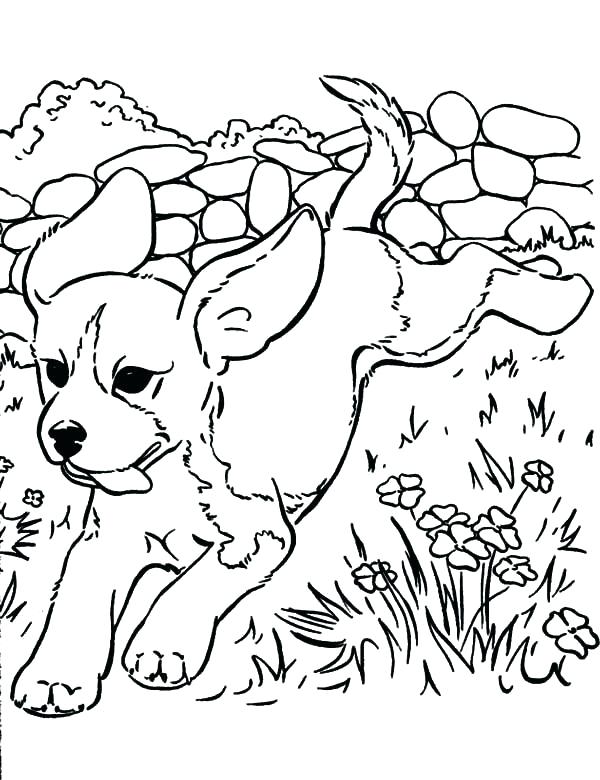 600x780 Puppy Color Pages Cute Puppy Coloring Pages To Print Surprising