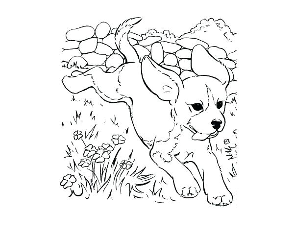 600x484 Biscuit Puppy Coloring Page Pages The Dog Best Images On Realistic