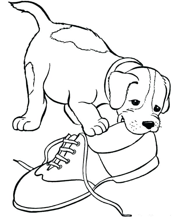 Realistic Puppy Coloring Pages at GetColorings.com | Free printable