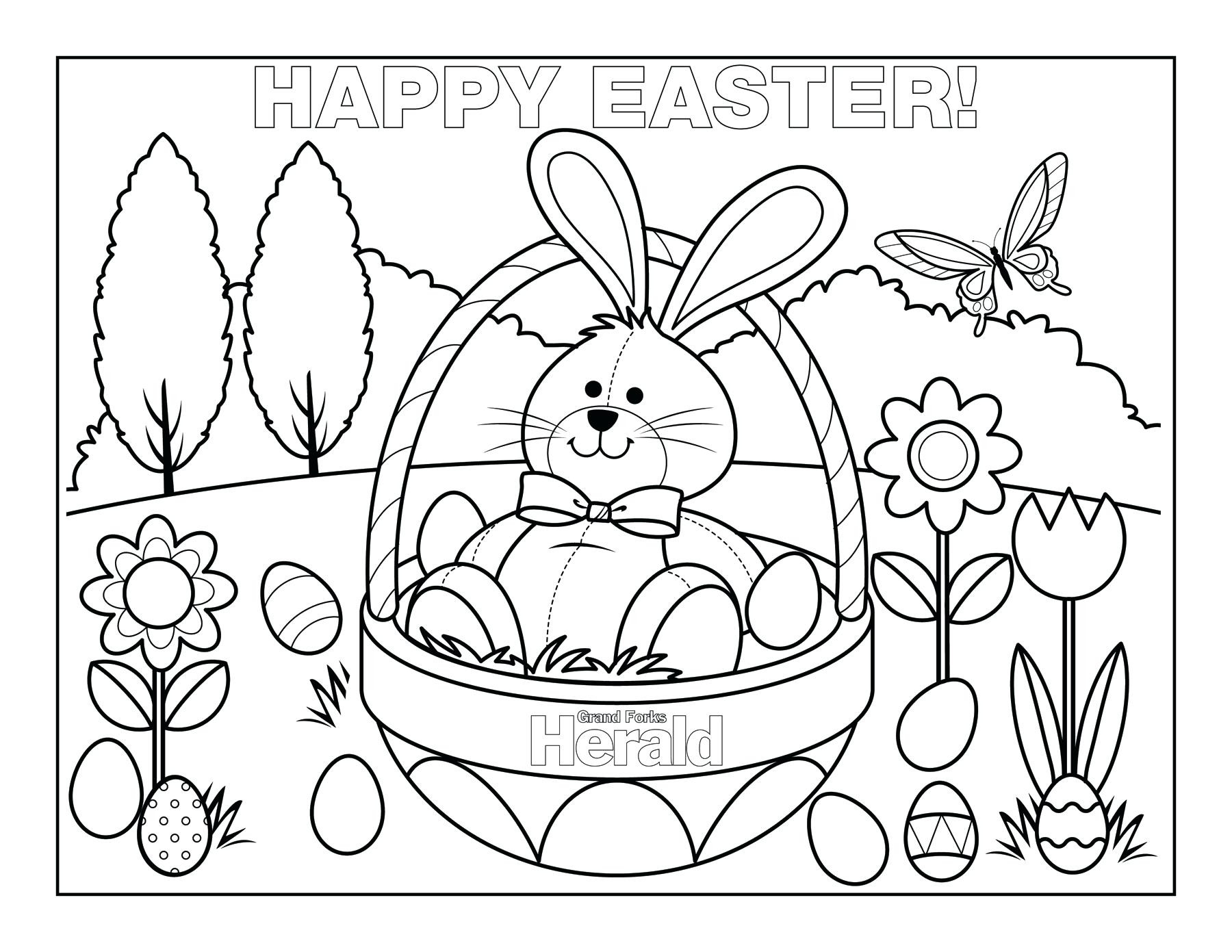 Realistic Rabbit Coloring Pages