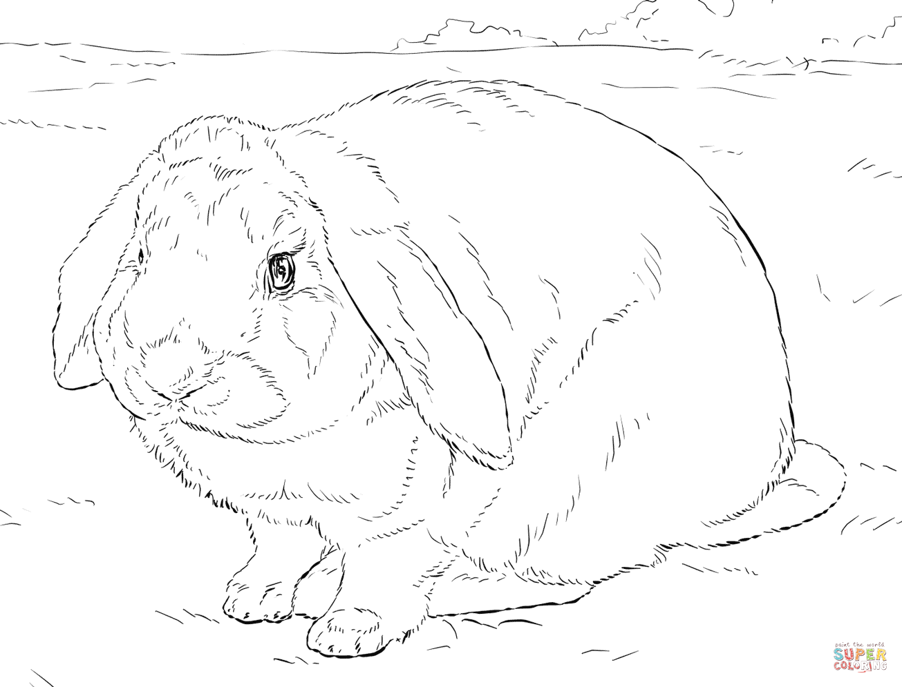 1305x995 Largest Realistic Bunny Coloring Pages Page