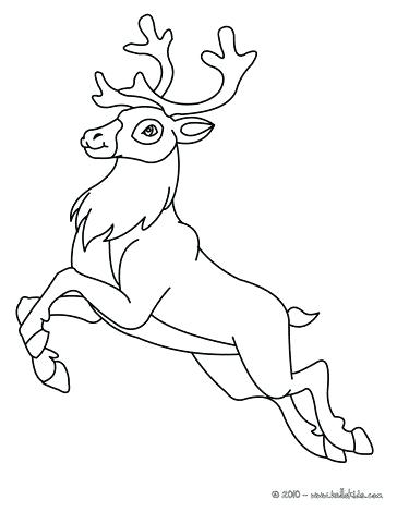 364x470 Lovely Realistic Reindeer Coloring Pages For Realistic Deer
