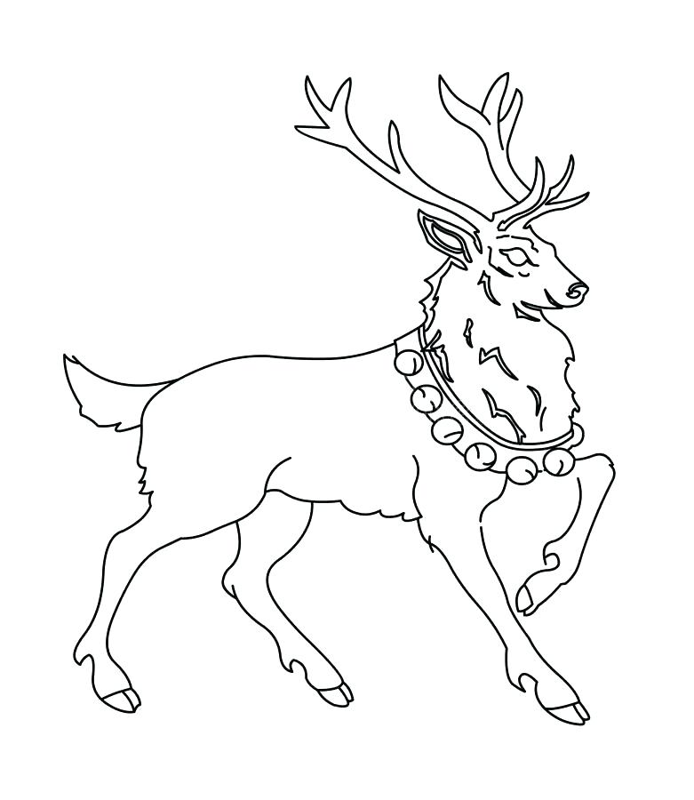 781x900 Moose Coloring Page Cute Moose Coloring Page Realistic Moose