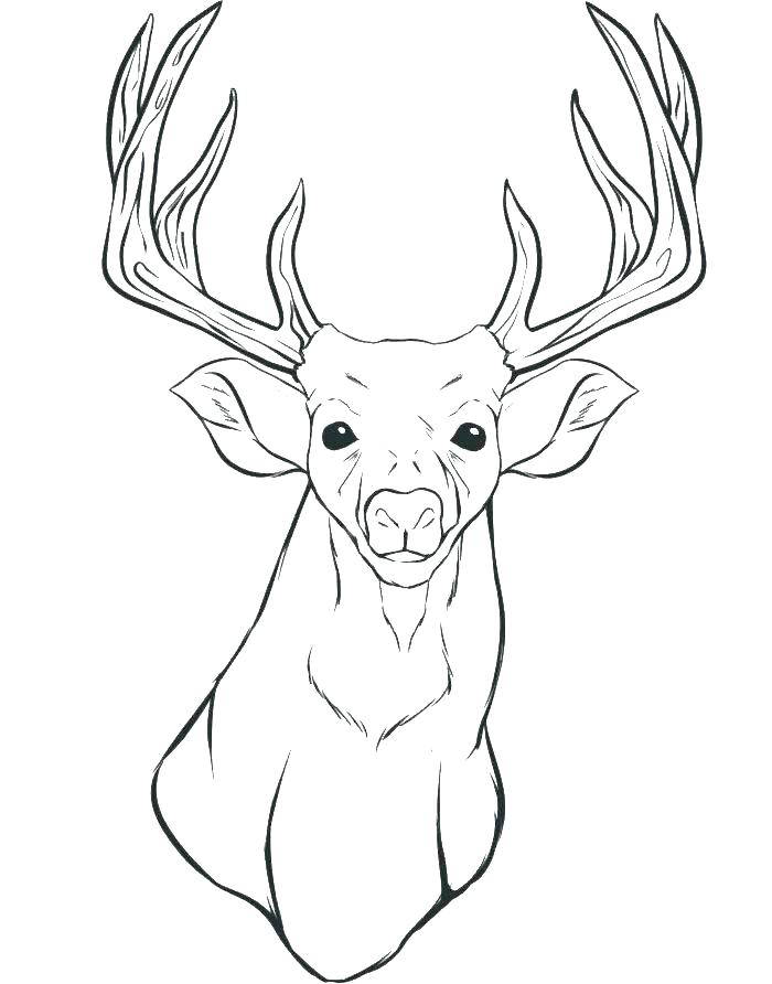 700x892 Reindeer Realistic Coloring Pages Hand Drawn Deer Head Coloring