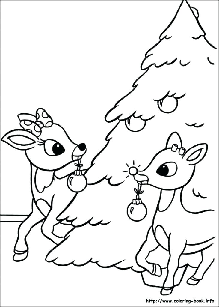 Realistic Reindeer Coloring Pages at GetColorings.com | Free printable