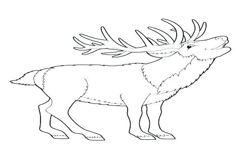 476x333 Coloring Pages With Turkeys Coloring Page Deer Zentangle Animal