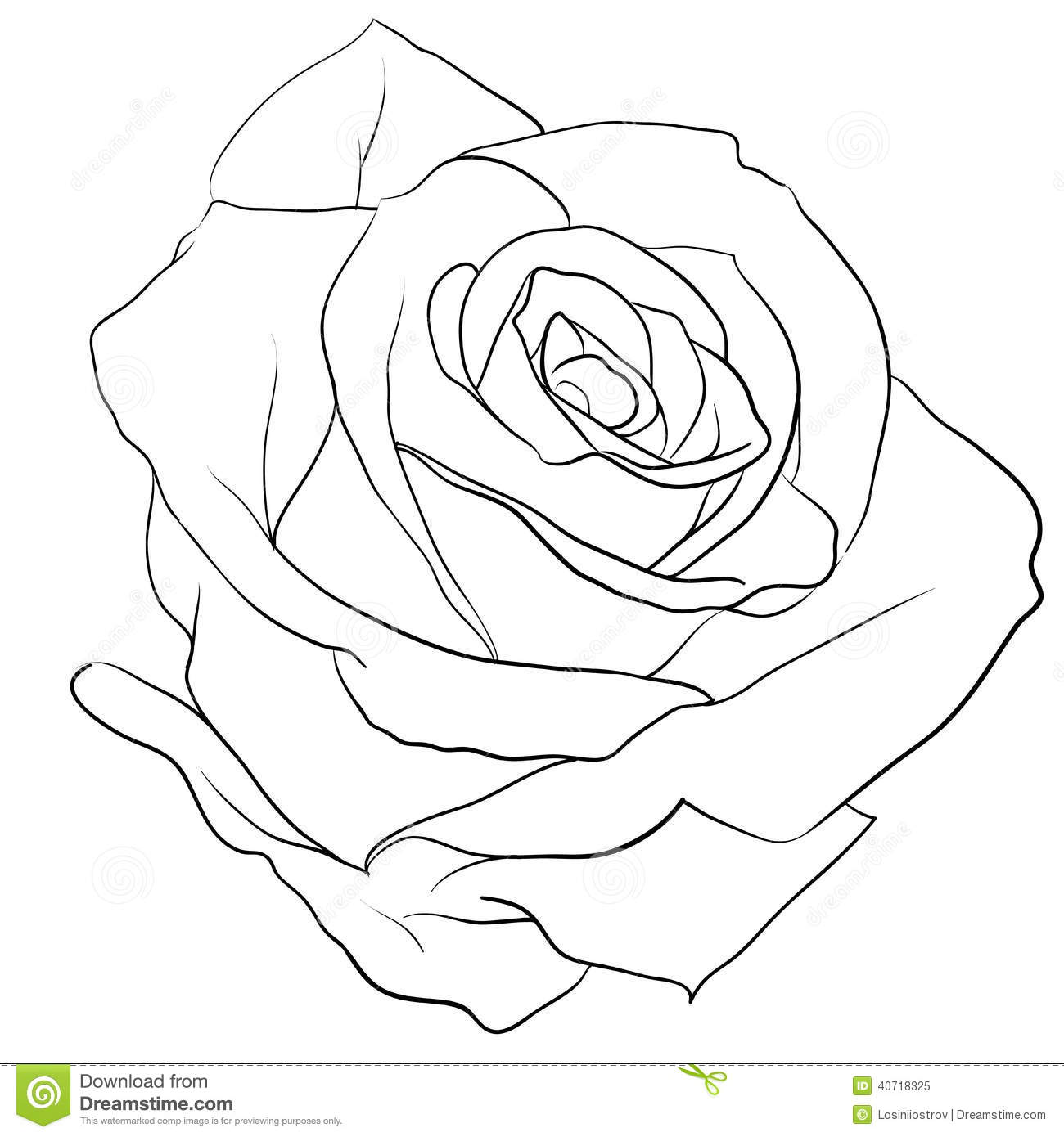Rosebud Rose Black White Like Tattoo 40718325 With Realistic 1300x1390 Rosebud Rose Black White Like Tattoo 40718325 With Realistic