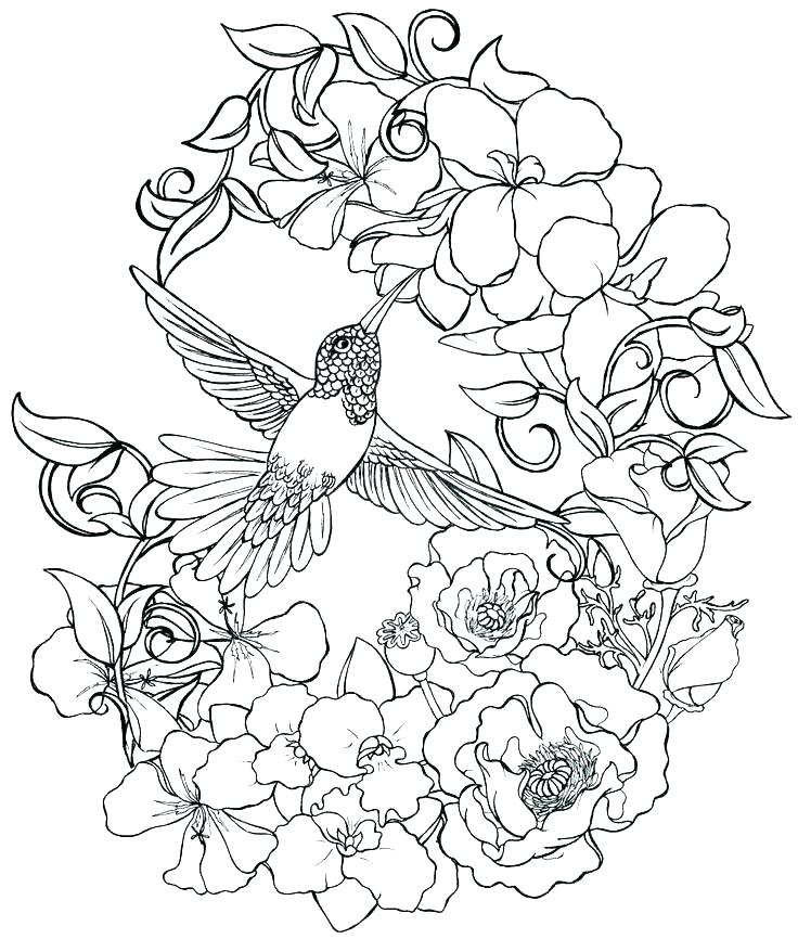 Detailed Flower Coloring Pages Realistic Flower Coloring Pages 736x866 Detailed Flower Coloring Pages Realistic Flower Coloring Pages