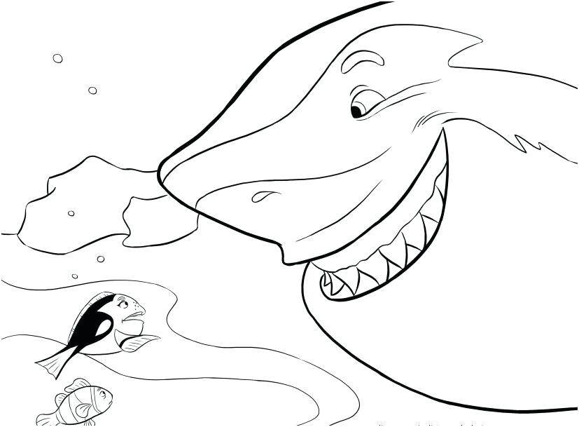 827x609 Shark Coloring Pages To Print Great White Shark Coloring Pages