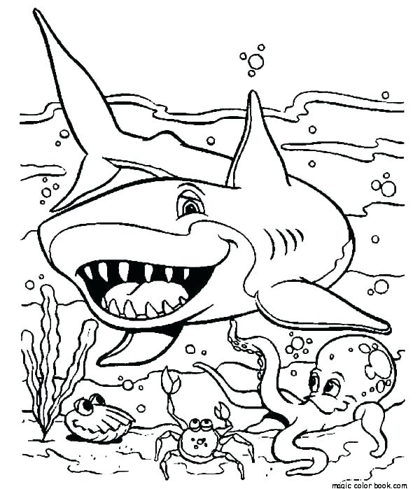 600x699 Coloring Pages Sharks Impair.co