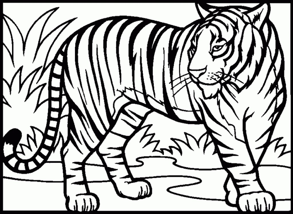 Realistic Tiger Coloring Pages Free Summer Tigers 1024x748 Realistic Tiger Coloring Pages Free Summer Tigers