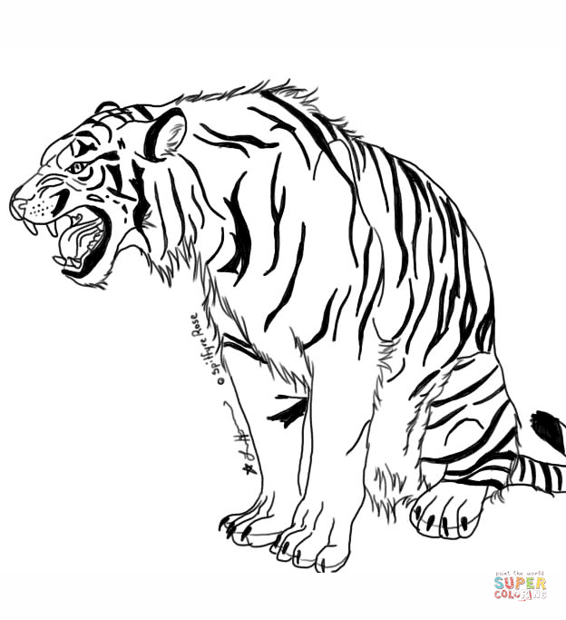 Tiger Coloring Page Tigers Coloring Pages Free Coloring Pages 624x683 Tiger Coloring Page Tigers Coloring Pages Free Coloring Pages