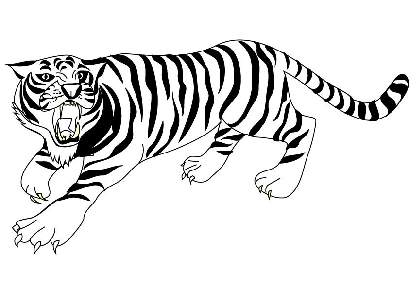 Tiger Coloring Pages 842x595 Tiger Coloring Pages
