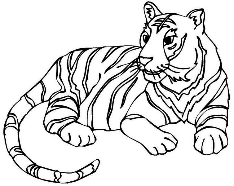 Tiger Colouring Sheets Realistic Tigers Coloring Pages Bebo Pandco 755x600 Tiger Colouring Sheets Realistic Tigers Coloring Pages Bebo Pandco