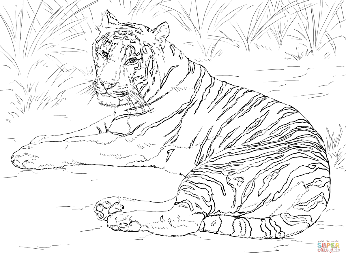 Tigers Coloring Pages Free Coloring Pages Tiger Coloring Pages 1199x899 Tigers Coloring Pages Free Coloring Pages Tiger Coloring Pages