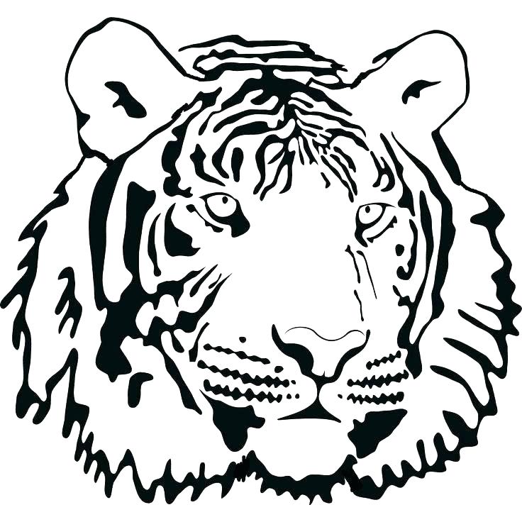 Coloring Page Tiger Free Tiger Coloring Pages Tiger Face Coloring 736x736 Coloring Page Tiger Free Tiger Coloring Pages Tiger Face Coloring