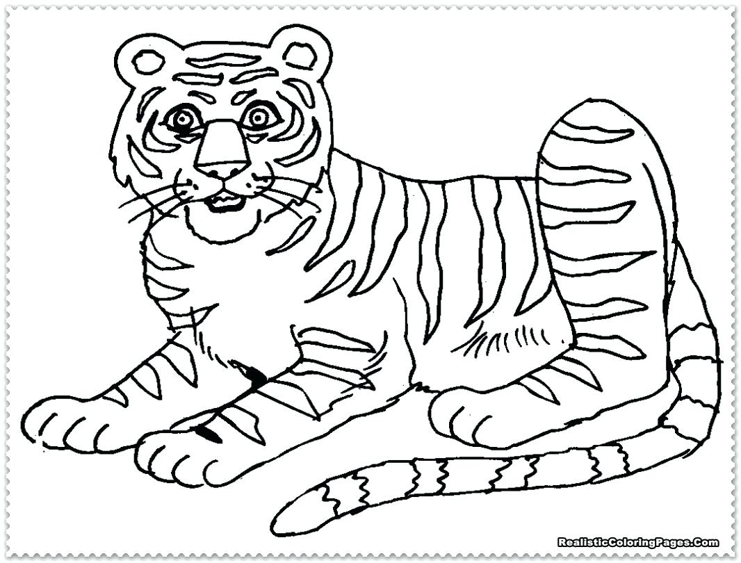 Realistic Tiger Coloring Pages at GetColorings.com | Free printable ...