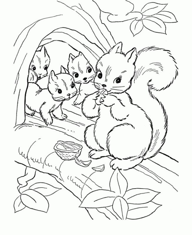 Realistic Tree Coloring Pages