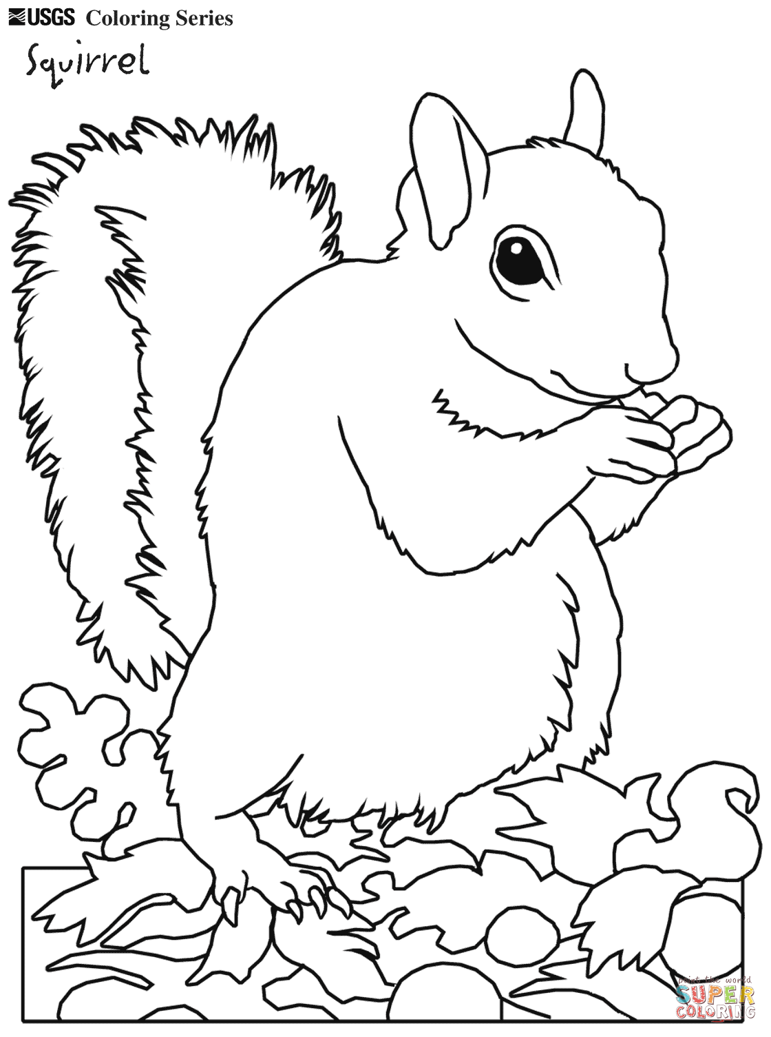 Eastern Grey Squirrel Tree Coloring Pages And Realistic 1120x1505 Eastern Grey Squirrel Tree Coloring Pages And Realistic