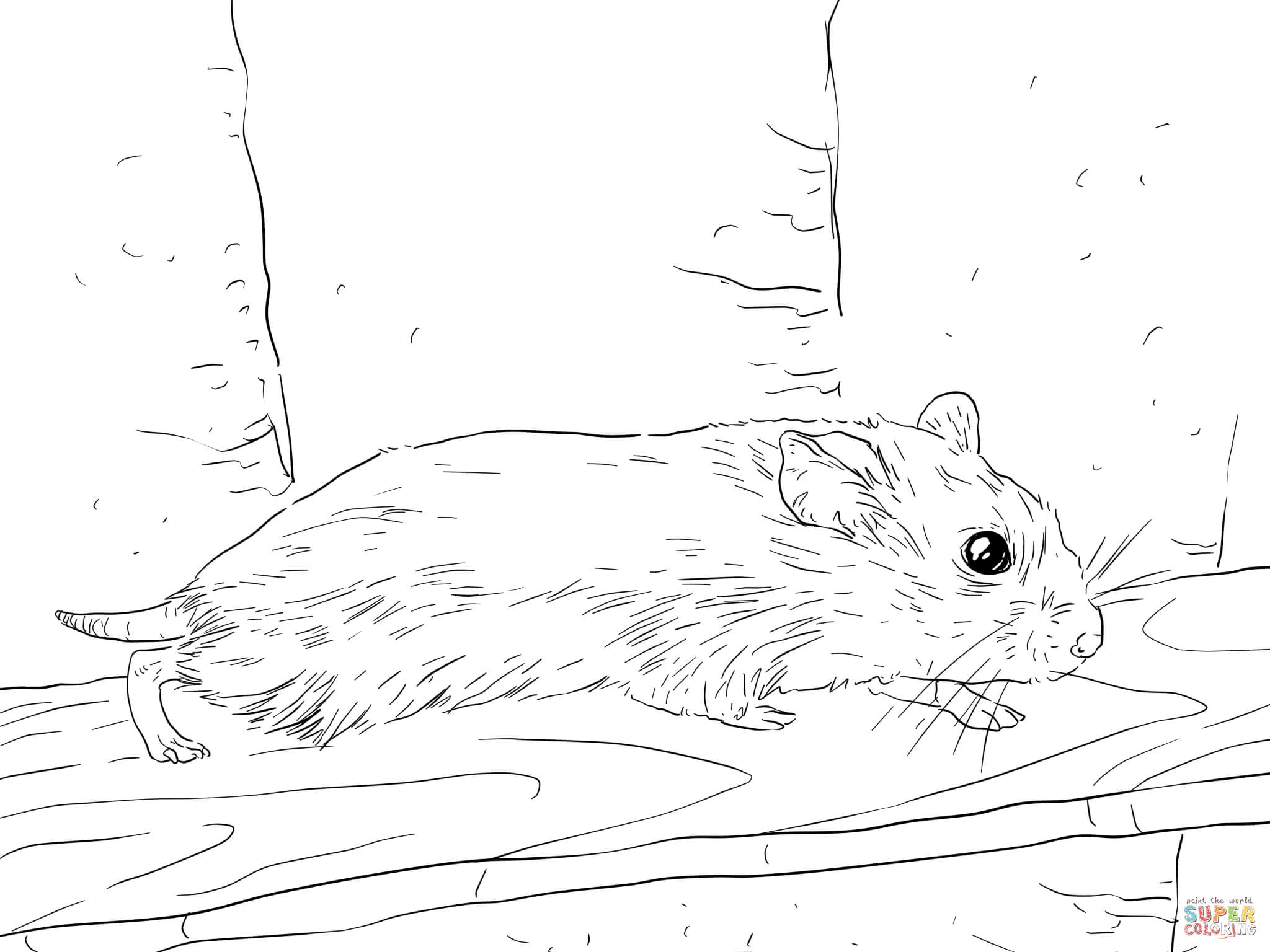 Hamster Coloring Pages Realistic Cute Sheets Humphrey Colouring 2048x1536 Hamster Coloring Pages Realistic Cute Sheets Humphrey Colouring