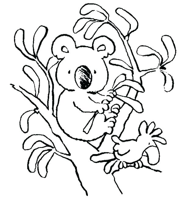 Koala Coloring Page Koala Bear On Big Tree Coloring Page Baby 600x664 Koala Coloring Page Koala Bear On Big Tree Coloring Page Baby