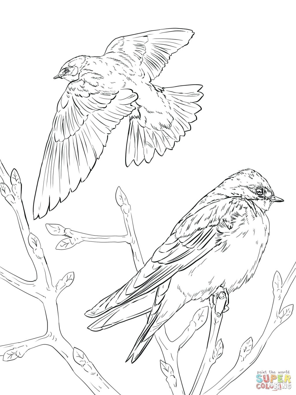 Coloring Page ~ Goose Coloring Page Realistic Tree Swallows 1024x1365 Coloring Page ~ Goose Coloring Page Realistic Tree Swallows