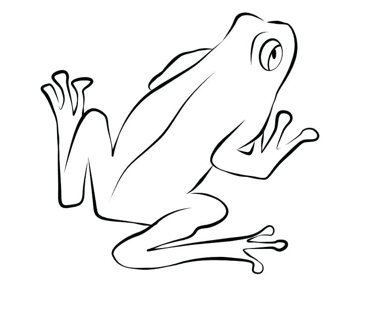 Coloring Page Realistic Frog Coloring Page Baby Frog Coloring Page 736x644 Coloring Page Realistic Frog Coloring Page Baby Frog Coloring Page